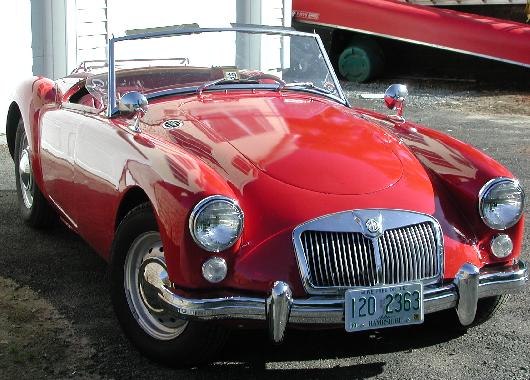 JerryCatt.jpg (50319 bytes)
