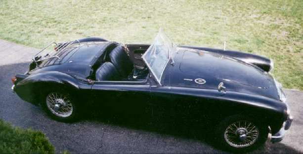 pbellew.jpg (24205 bytes)